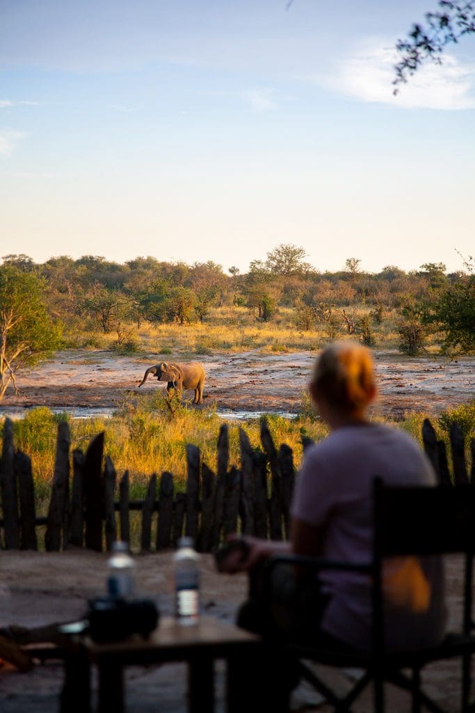 Botswana Tuskers Camp Island Lodge photography Teagan Cunniffe