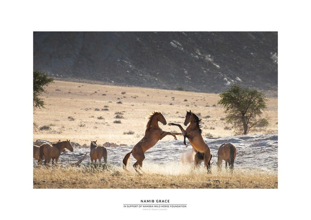 Namibia Wild Horses prints