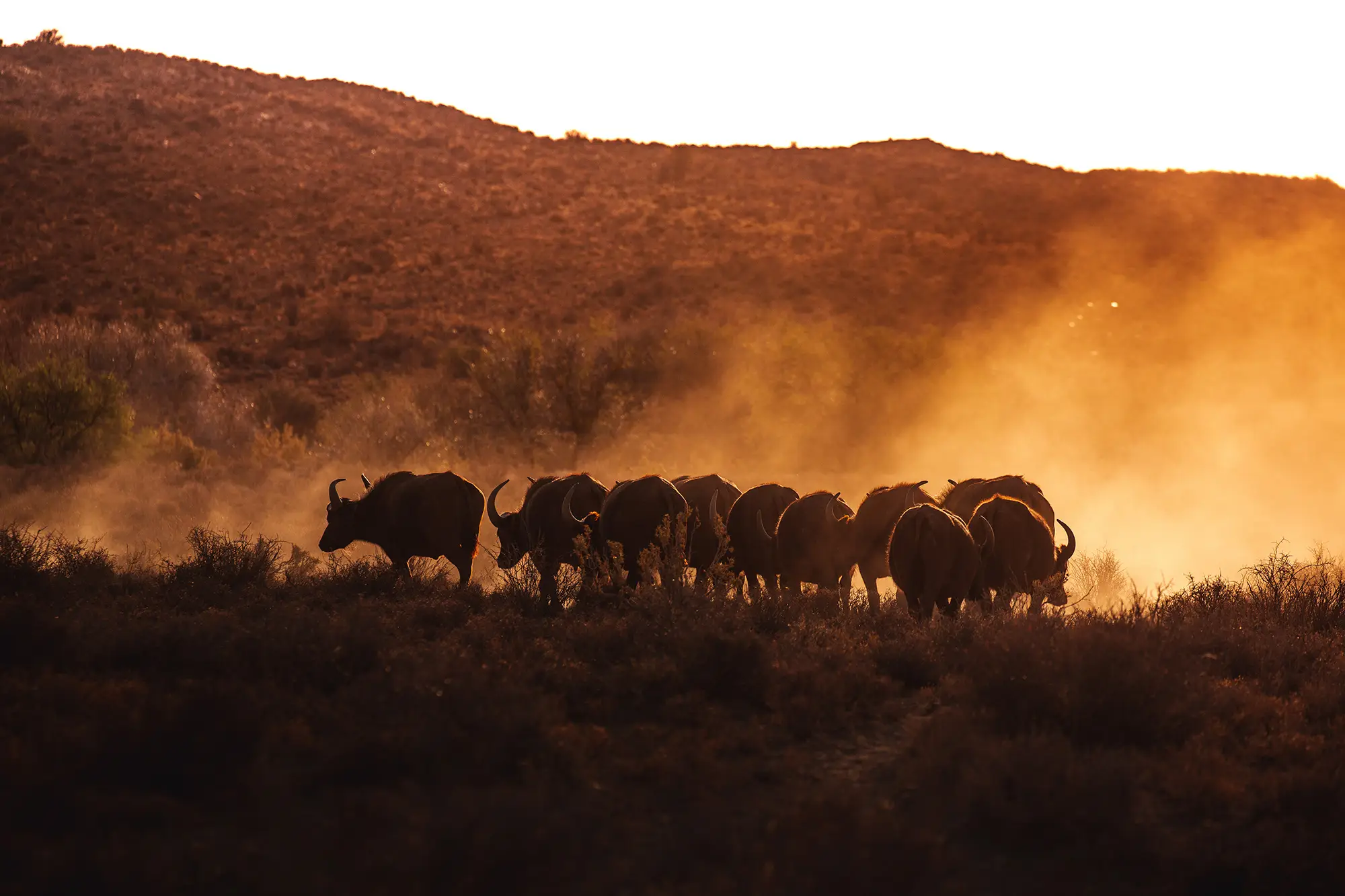 022 RoamtheKaroo LodgePhotographer Teagancunniffe