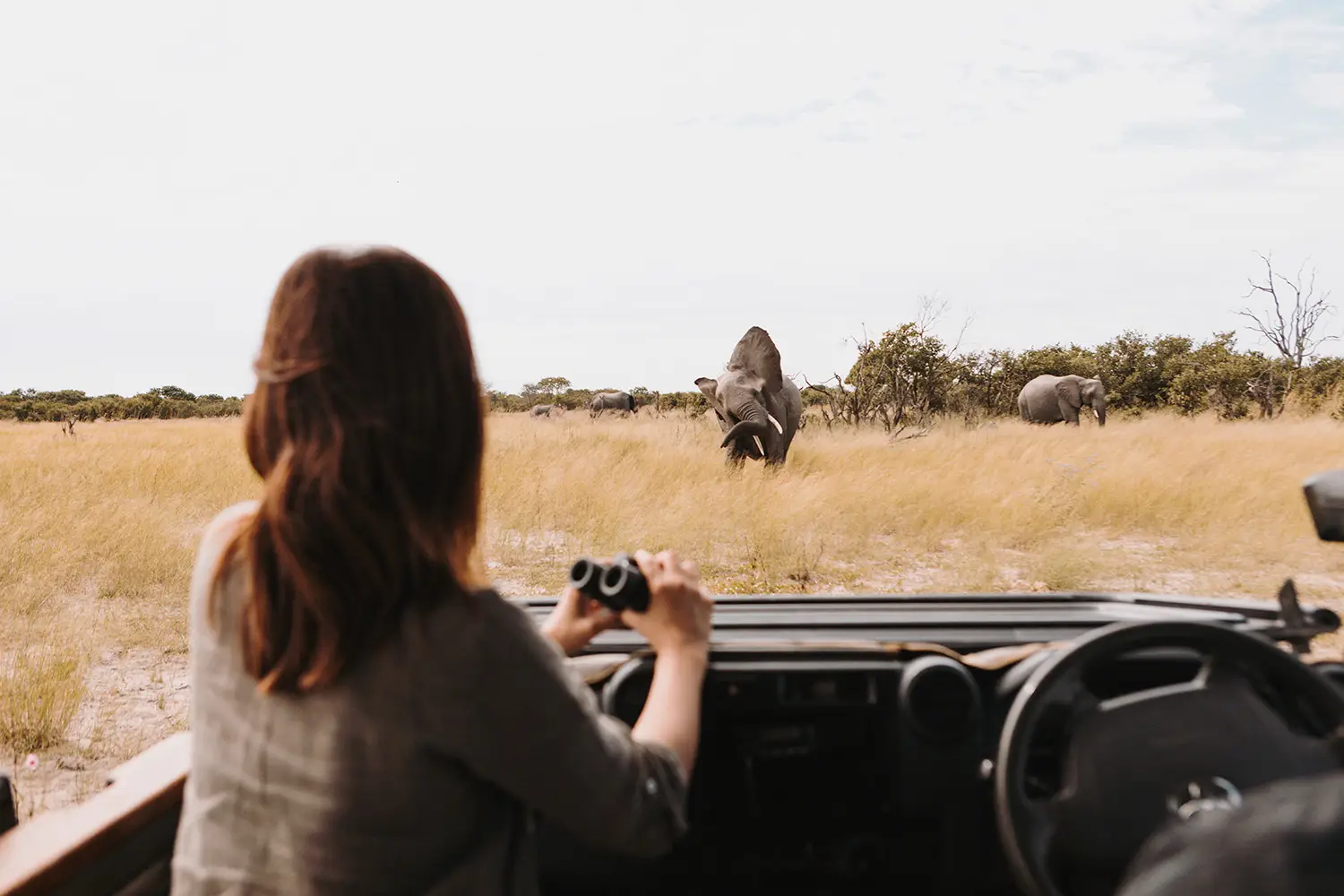 GameDrive Vumbura TCunniffe 010