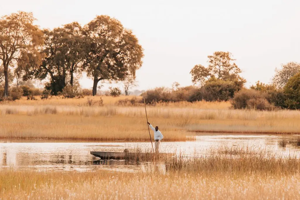 Mokoro Vumbura TCunniffe 019