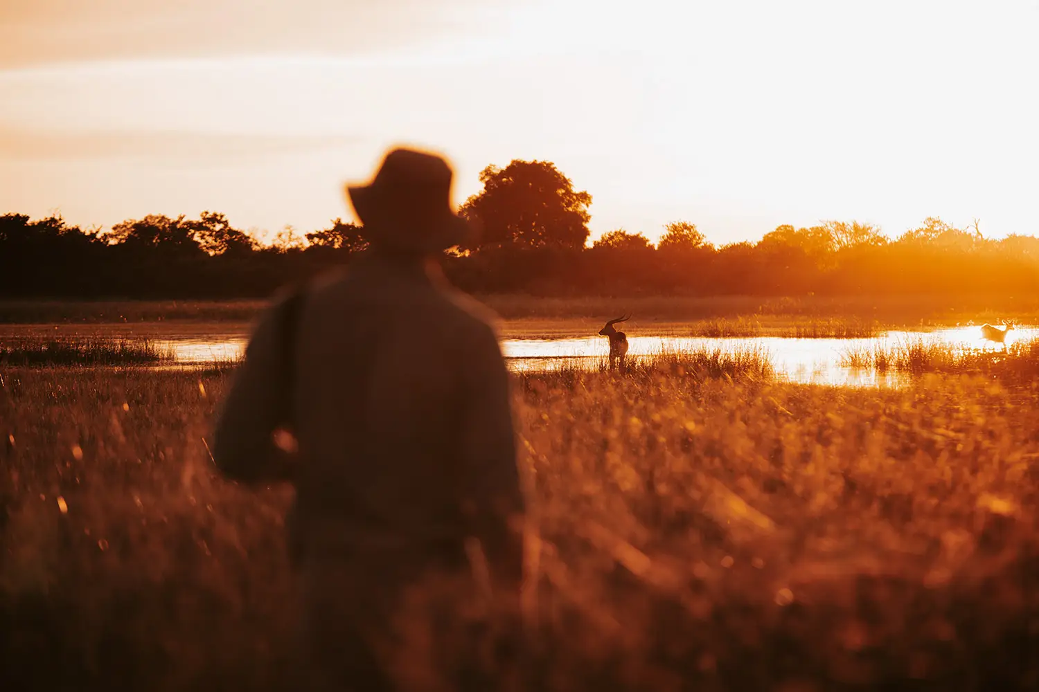 Walking Vumbura TCunniffe 027